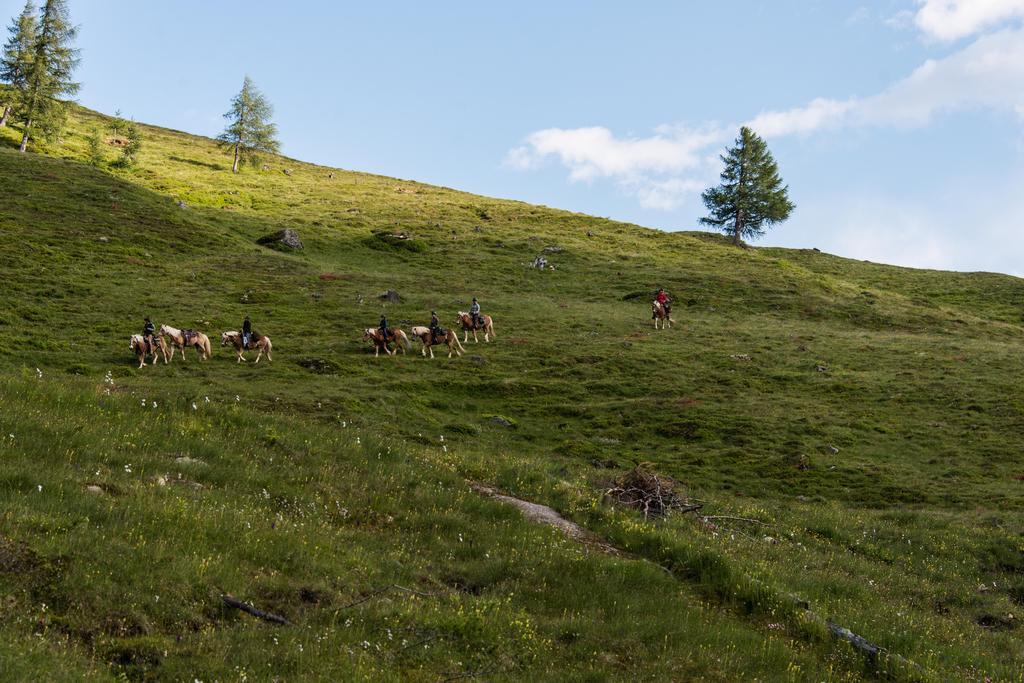 Landhaus Alpenrose - Feriendomizile Pichler Heiligenblut Dış mekan fotoğraf